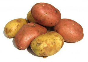 Картофель и другие клубнеплоды